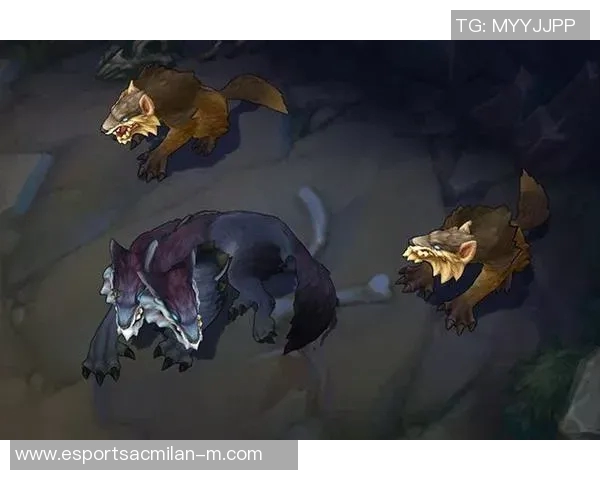 电竞传奇吴军专访回顾英雄联盟发展历程与个人成长故事 电竞传奇吴军专访回顾英雄联盟发展历程与个人成长故事